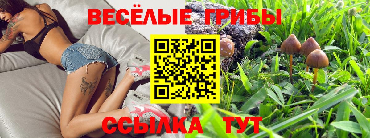 Нижний Новгород  Псилоцибиновые грибы Psilocybine cubensis  Вход с VPN 