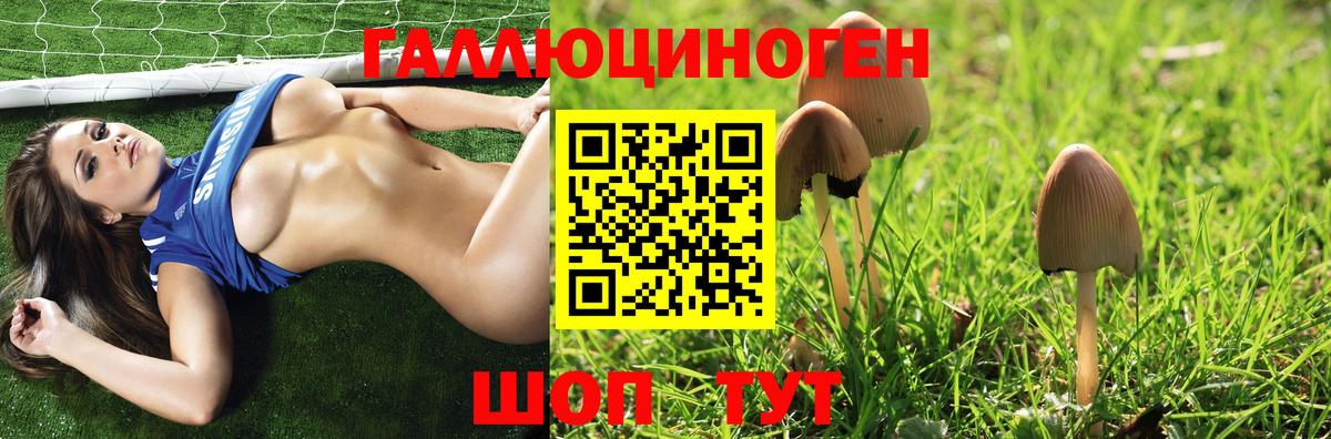 Меф Нижний Новгород