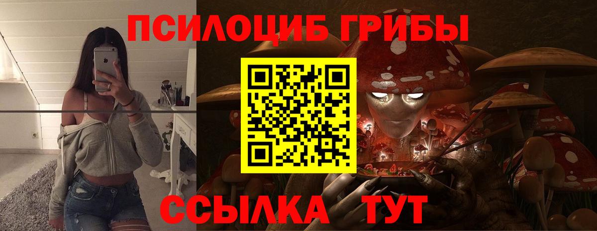 Псилоцибиновые грибы прущие грибы Нижний Новгород